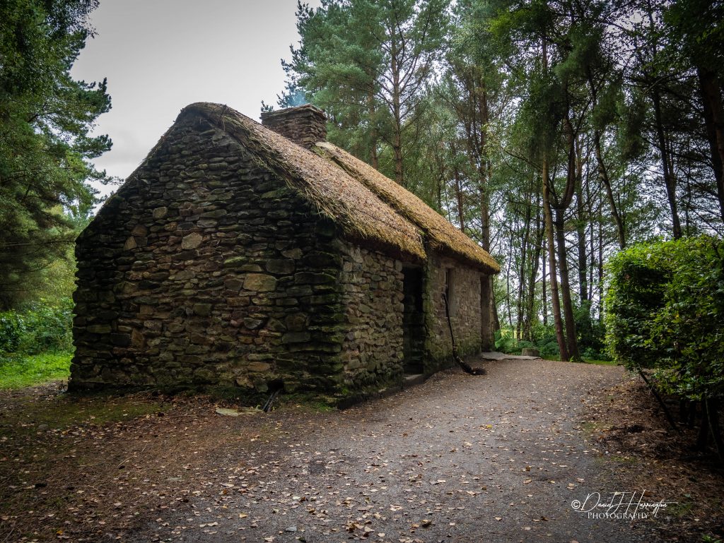 Thatched Cottage-3