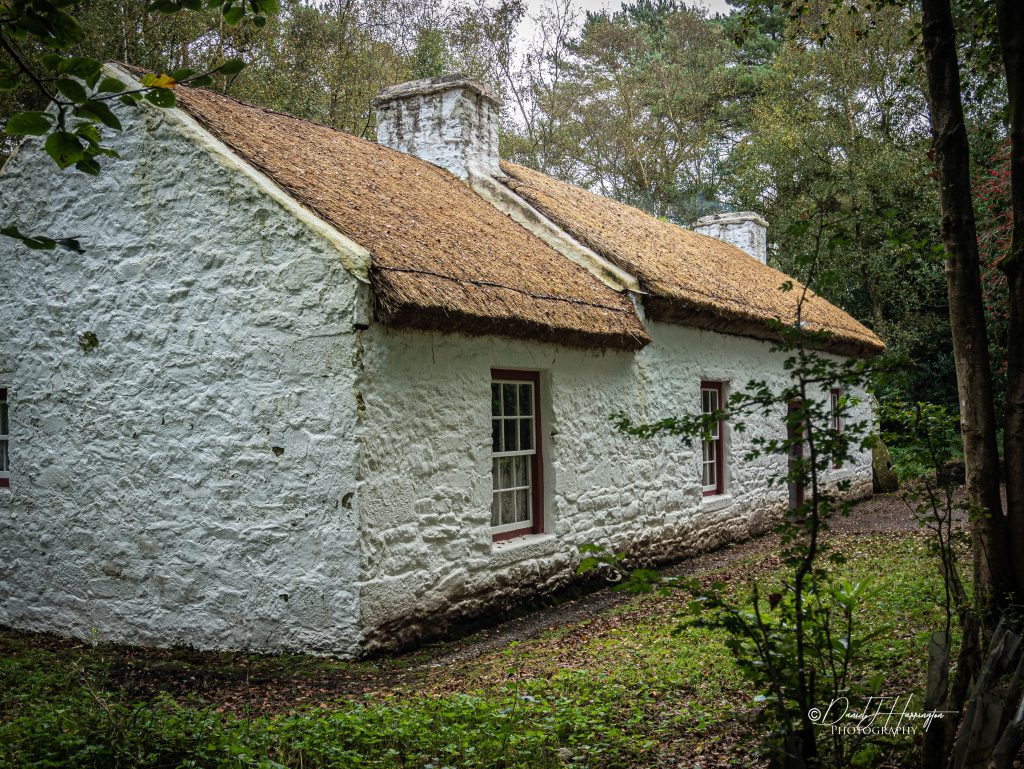 Weaver's Cottage Rear-3